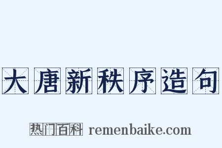 大唐新秩序造句是什么意思的图片